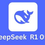 DeepSeek-R1-0528