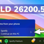 Windows 11