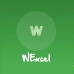 نظرة حول تطبيق WExcel | حل سحري لتحويل محادثات واتساب إلى جداول إكسل منظمّة