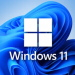 مربع البحث في Windows 11